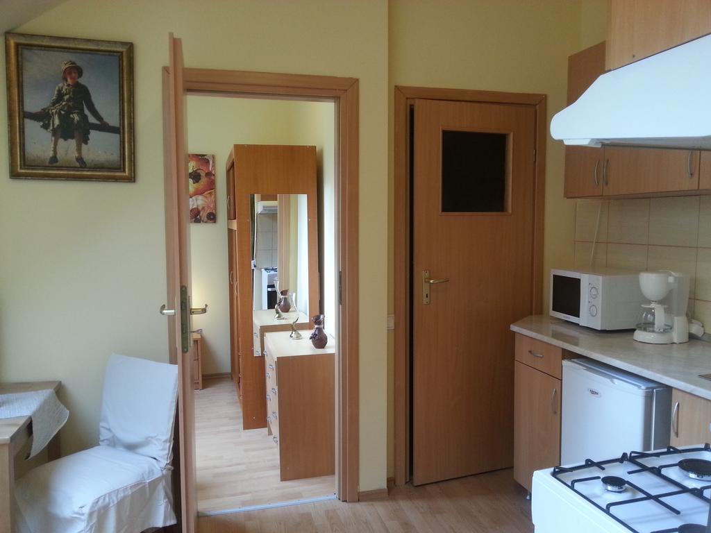 Center Park Apartment Κλουζ-Ναπόκα Εξωτερικό φωτογραφία